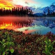 Colorfull World of Kids