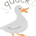 Quack Quack