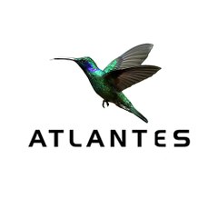 آتلانتیس فروشگاه