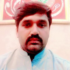Imran  Malik