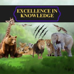 Excellence in knowledge