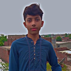 Entertainment videos