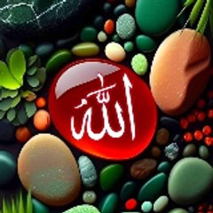 Malomat islam voice