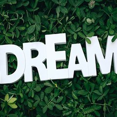 Sky Dream
