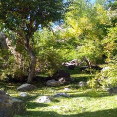 Essence of nature