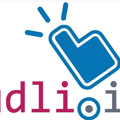 budliphone2024