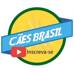 Caes Brasil