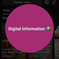 Digital Information