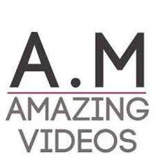 Amazing Videos Online