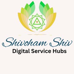 digital service hub