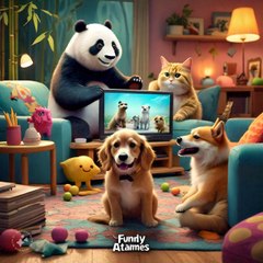 Funny 😂😂 Animals