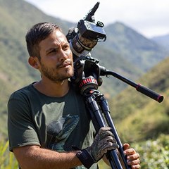 Planeta Salvaje Tv