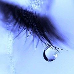 Echoes of the Soul