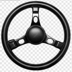 NRG Steering Wheel