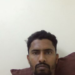Golden Rashid