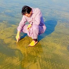 abdulhakeem8329