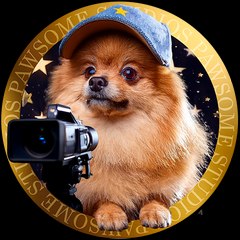 Pawsome Studios