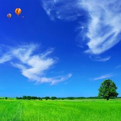 麦克