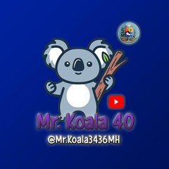 Mr. Koala 40