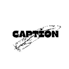 Caption