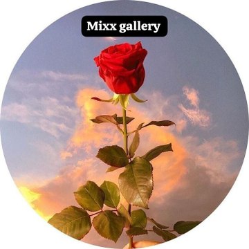 Mixx gallery