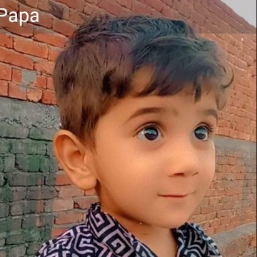 Us ronaldo and Roman reigns