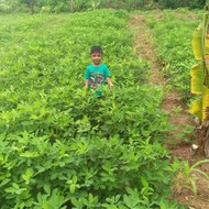 Mohamed akkeel Akkeel