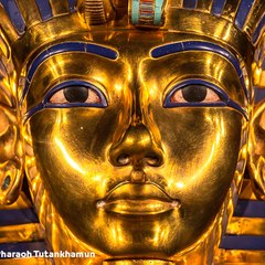 وليد حلمى  ابو  المجد