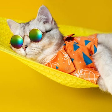 CARTOON KIDS FUNNY 310