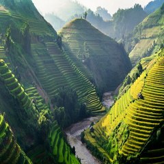 beautiful world Hassan khan