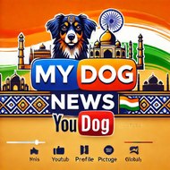 My Dog News