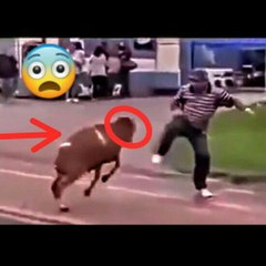 Rk Funny motion