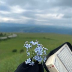 Imtisalwajidofficial