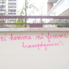 transpdgouines
