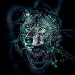 Wolf Gamer