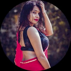 Saree Lover