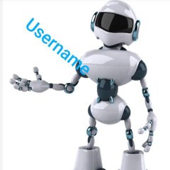 Username