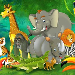 Cartoon video