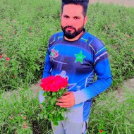 Bollywood movies| Hollywood movies