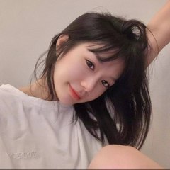 貓七 林