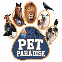 Pet Paradise