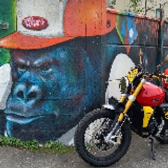Street-Art Biker