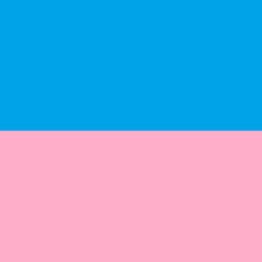 架空国家優女国