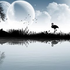 林意