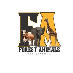 Forest Animals