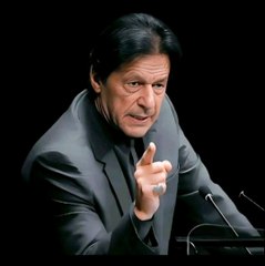 Habib Khan