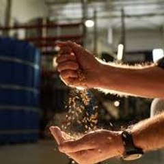 Mix Food Video Channel