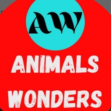 Animal Wonders 53