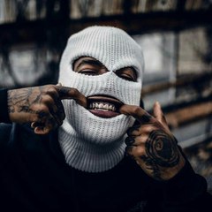 DAILYFEED