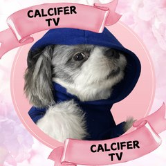 CALCIFER TV